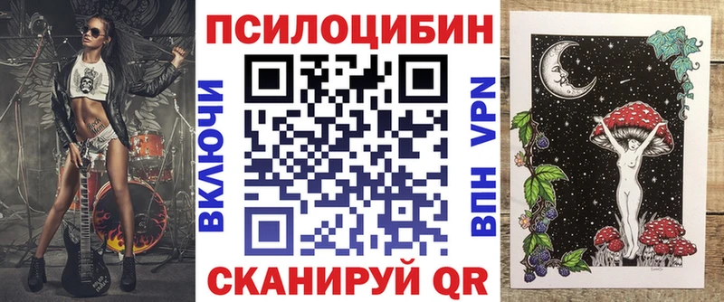 Псилоцибиновые грибы Psilocybe  купить  сайты  Сасово 